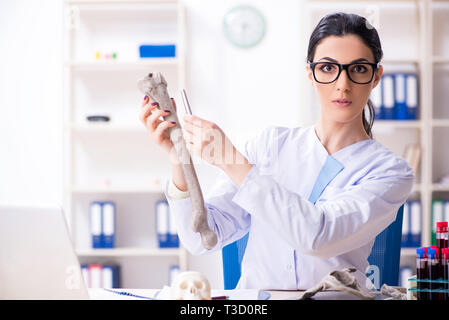 Junge weibliche Archäologe im Labor arbeiten Stockfoto