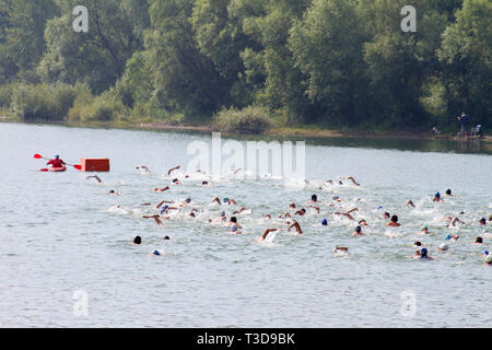 Gruppe der Schwimmer bei triathlon Wettbewerb am See Bezid, in der Nähe von Tirgu Mures, Rumänien Stockfoto