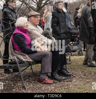 Ein paar der älteren Menschen sitzen auf einer Bank im Park. Halten Sie kleine süße Hunde in ihre Arme und es gibt die Leute um Sie herum. Stockfoto