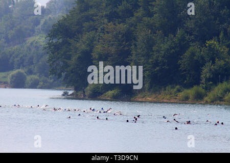 Gruppe der Schwimmer bei triathlon Wettbewerb am See Bezid, in der Nähe von Tirgu Mures, Rumänien Stockfoto