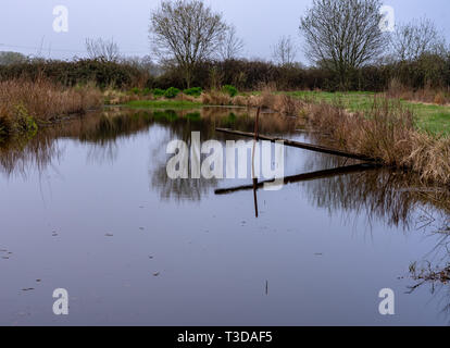 Stillgelegte Brunnenkresse Teich Stockfoto