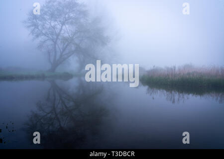 Nebligen Morgen am Ufer des Flusses Stockfoto