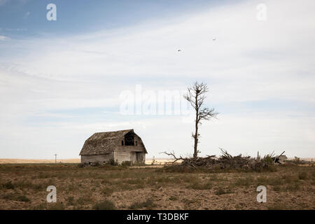 Alte Scheune auf einem verlassenen Bauernhof in der östlichen Washington, United States. Schlechte Wirtschaft im ländlichen Amerika nicht Farmen. Stockfoto