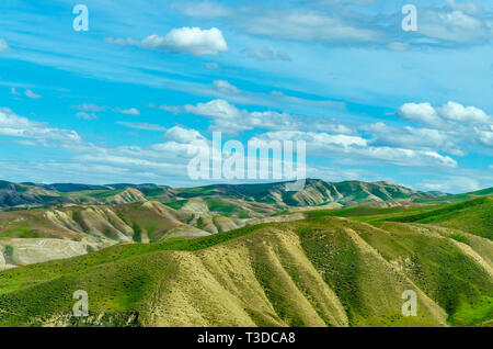 Superbloom in der zentralen Kalifornien Diablo Mountain Range Frühjahr 2019 USA Stockfoto