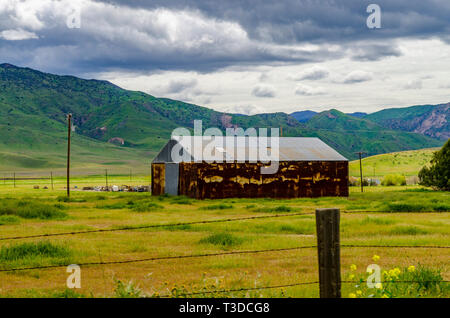 Superbloom in der zentralen Kalifornien Diablo Mountain Range Frühjahr 2019 USA Stockfoto