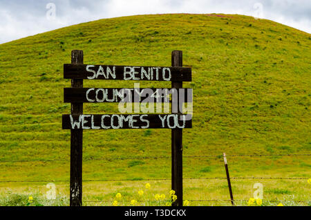 Superbloom in der zentralen Kalifornien Diablo Mountain Range Frühjahr 2019 USA Stockfoto