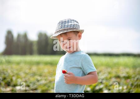 Little Boy essen Erdbeeren. Stockfoto