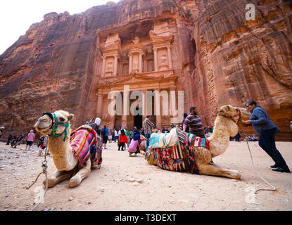 Kamele warten für touristische Kunden an der Staatskasse (Al Khazneh), Petra, Jordanien, UNESCO Weltkulturerbe Stockfoto