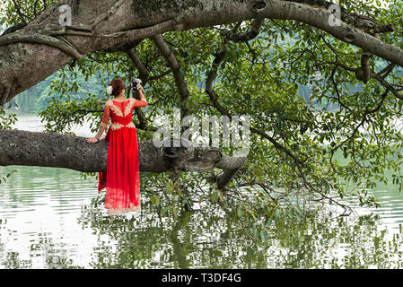 Vietnamesische Braut im traditionellen roten Hochzeit Kleid sitzt auf einem Baum am Hoan Kiem Lake Park in Hanoi. Stockfoto