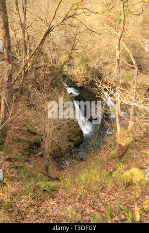 UK English Lake District, Cumbria GROSSBRITANNIEN. Colwith Kraft Cumbria ländliche englische Landschaft Pfad aus der Grafschaft Cumbria. UK ländliche Szene in der Nähe von Skelwith Bridge. Stockfoto