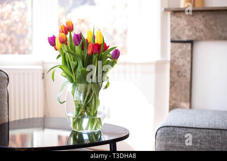 Bunte Tulpen Blumen, verschiedene Farben am Tisch im Wohnzimmer, April Konzept Stockfoto