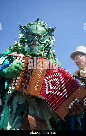 Akkordeonist gekleidet wie ein grüner Mann während Jack in der Grünen Prozession am Feiertag Montag, West Hill, Hastings, East Sussex, Großbritannien Stockfoto