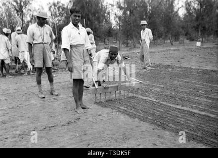 Die plantagenarbeiter Aussaat Samen in Britisch Indien 1945 Stockfoto