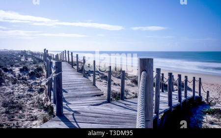 Blick nach unten zwei Holzterrasse Bahnen bilden eine Gabel in der Straße, die beide auf einer weit reichenden Sandstrand mit dem blauen Meer und blauer Himmel in her Stockfoto