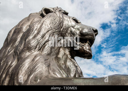 Landseers lion Statue auf dem Trafalgar Square in London Stockfoto