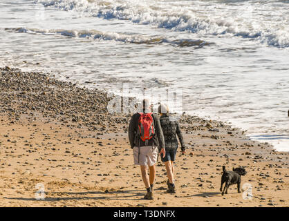 LANGLAND BAY, Gower Peninsula, WALES - Februar 2019: Mann und Frau zu Fuß am Strand entlang und mit geradem Ihren Hund an Langland Bay in Wales. Stockfoto