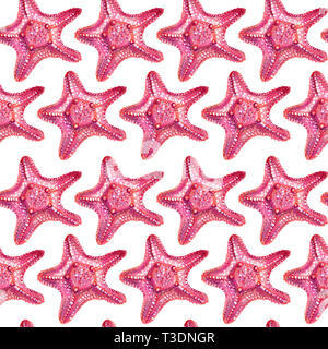 Nahtlose Muster starfishSeamless Muster mit Seestern. Starfish ist von Hand mit Buntstiften gezeichnet. Isolierte rosa Seestern auf einem weißen Hintergrund. Stockfoto