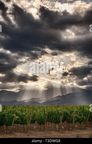 Lichtstrahlen die Anden leuchten in der Nähe von einem Weinberg in der Nähe von Tupungato, Mendoza, Argentinien. Stockfoto