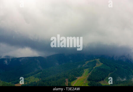 Schöne Karpaten Mountain Forest nach dem Regen Stockfoto