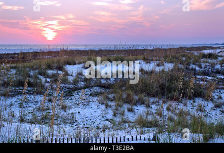 Die Sonne geht auf Sanddünen und Seeoaten (Uniola paniculata) unter, die in Dauphin Island, Alabama, zur Erosionskontrolle gepflanzt wurden. Stockfoto