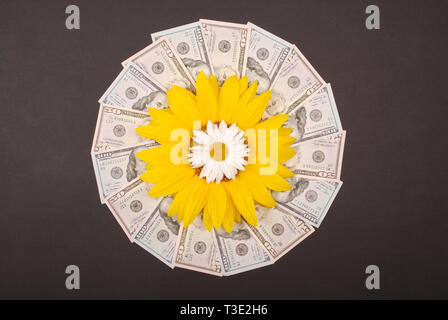 Sonnenblume und Kamille auf Mandala Kaleidoskop von Geld. Abstrakte Geld Hintergrund raster Muster wiederholen Mandala Kreis. Auf schwarzem Hintergrund. Stockfoto