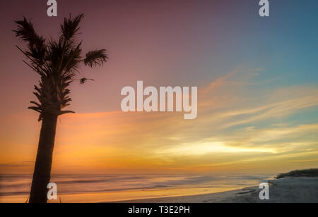 Eine Palme Silhouette ist als die Sonne am westlichen Ende des Dauphin Island, Nov. 5, 2013, in Dauphin Island, Alabama. Stockfoto