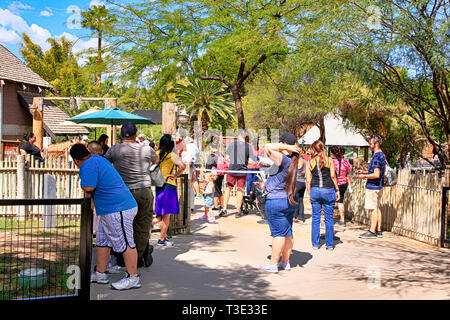 Die Menschen genießen alle Attraktionen im Reid Park Zoo in Tucson AZ Stockfoto