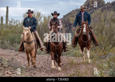 Cowboy Reiter in der Wüste Szene um Wickenburg, Arizona Stockfoto