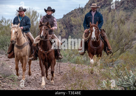 Cowboy Reiter in der Wüste Szene um Wickenburg, Arizona Stockfoto