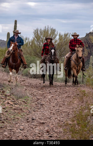 American cowboy Ride ihre reittiere in der Wüste Szene um Wickenburg, Arizona Stockfoto