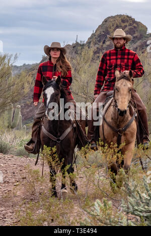 Amerikanische Cowboys reiten ihre Pferde in der Wüste Szene um Wickenburg, Arizona Stockfoto