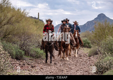 Amerikanische Cowboys reiten ihre Pferde in der Wüste Szene um Wickenburg, Arizona Stockfoto