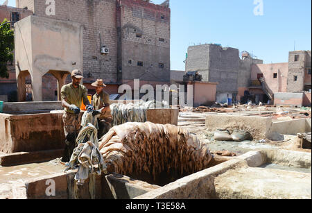 Marokkanische Männer an der Gerbereien in Marrakesch arbeiten. Stockfoto