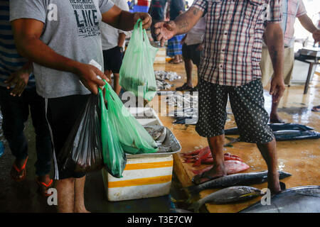 Verwendung von Polyethylen Pakete an Zentralen Fischmarkt in Colombo, Sri Lanka Stockfoto