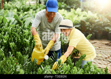 Fröhliche Senioren Bewässerung von Pflanzen Stockfoto