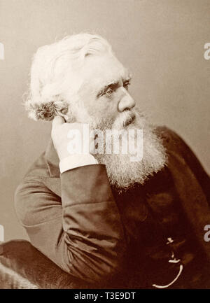 AUSTEN HENRY LAYARD (817-1894) Englische Archäologe und Diplomat. Stockfoto