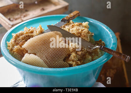 Ein Haufen cut Wachs mit Honig aus der Wabe Frame in eine blaue Schüssel mit speziellen Messer. Stockfoto