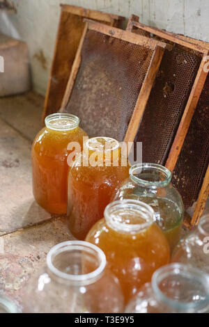 Gläser aus Glas mit frischem Honig im imkerei vor der mehrere Kämme. Stockfoto