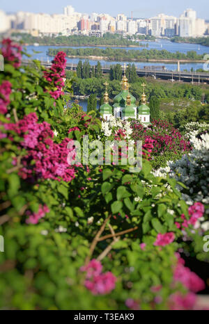 Frühling Blick auf Vydubychi Kloster und Dnjepr River mit rosa und weißen Flieder in botanischen Garten blühende Stadt Kiew, Ukraine. Malerische klassi Stockfoto