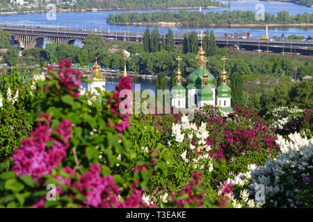 Frühling Blick auf Vydubychi Kloster und Dnjepr River mit rosa und weißen Flieder in botanischen Garten blühende Stadt Kiew, Ukraine. Malerische klassi Stockfoto