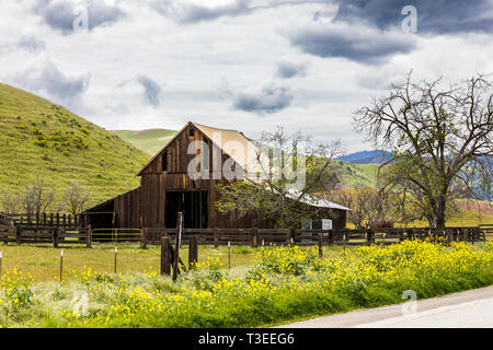 Eine alte Scheune in der zentralen Kalifornien Diablo Mountain Range Frühjahr 2019 USA Stockfoto