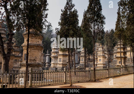 Dengfeng, Henan/China - Januar 20, 2019: Talin Pagoden, It's Memorial des Hohenpriesters des Shaolin Tempels. In dem Teil des Shaolin Tempels, Sohn Stockfoto