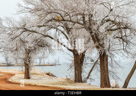 Raureif an den Ufern des Lake Hefner in Oklahoma City, OK, USA Stockfoto