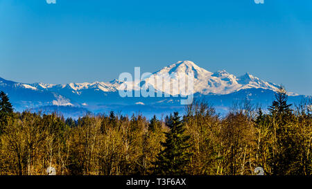 Mount Baker, einem schlafenden Vulkan im Staat Washington von der Heidelbeere Felder von Glen Valley in der Nähe von Lethbridge in British Columbia, Kanada gesehen Stockfoto