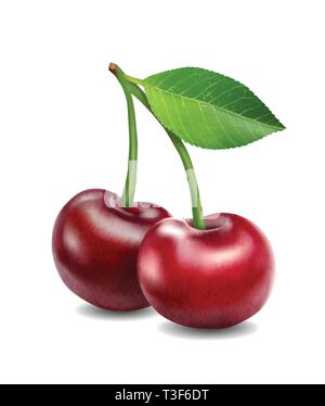 Vector Illustration. Kirschen fotorealistische 3D-Symbol Stock Vektor