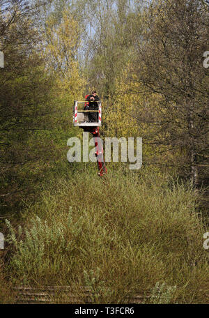 Hamburg, Deutschland. 09 Apr, 2019. Ein Baum-Keeper genießt seinen Snack in luftiger Höhe zwischen Bäumen und Sträuchern. Credit: Christian Charisius/dpa/Alamy leben Nachrichten Stockfoto