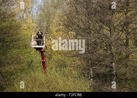 Hamburg, Deutschland. 09 Apr, 2019. Ein Baum-Keeper genießt seinen Snack in luftiger Höhe zwischen Bäumen und Sträuchern. Credit: Christian Charisius/dpa/Alamy leben Nachrichten Stockfoto