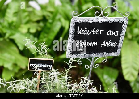 Berlin, Deutschland. 28. März, 2019. Kräutergarten, Deutschland, Berlin, 28. März 2019. Credit: Frank Mai | Nutzung weltweit/dpa/Alamy leben Nachrichten Stockfoto