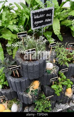 Berlin, Deutschland. 28. März, 2019. Kräutergarten, Deutschland, Berlin, 28. März 2019. Credit: Frank Mai | Nutzung weltweit/dpa/Alamy leben Nachrichten Stockfoto