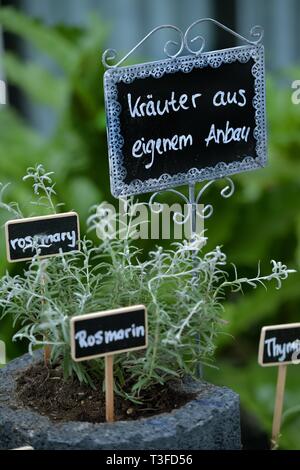 Berlin, Deutschland. 28. März, 2019. Kräutergarten, Deutschland, Berlin, 28. März 2019. Credit: Frank Mai | Nutzung weltweit/dpa/Alamy leben Nachrichten Stockfoto